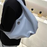 Ethan's Moon - shaped Dumpling Handbag